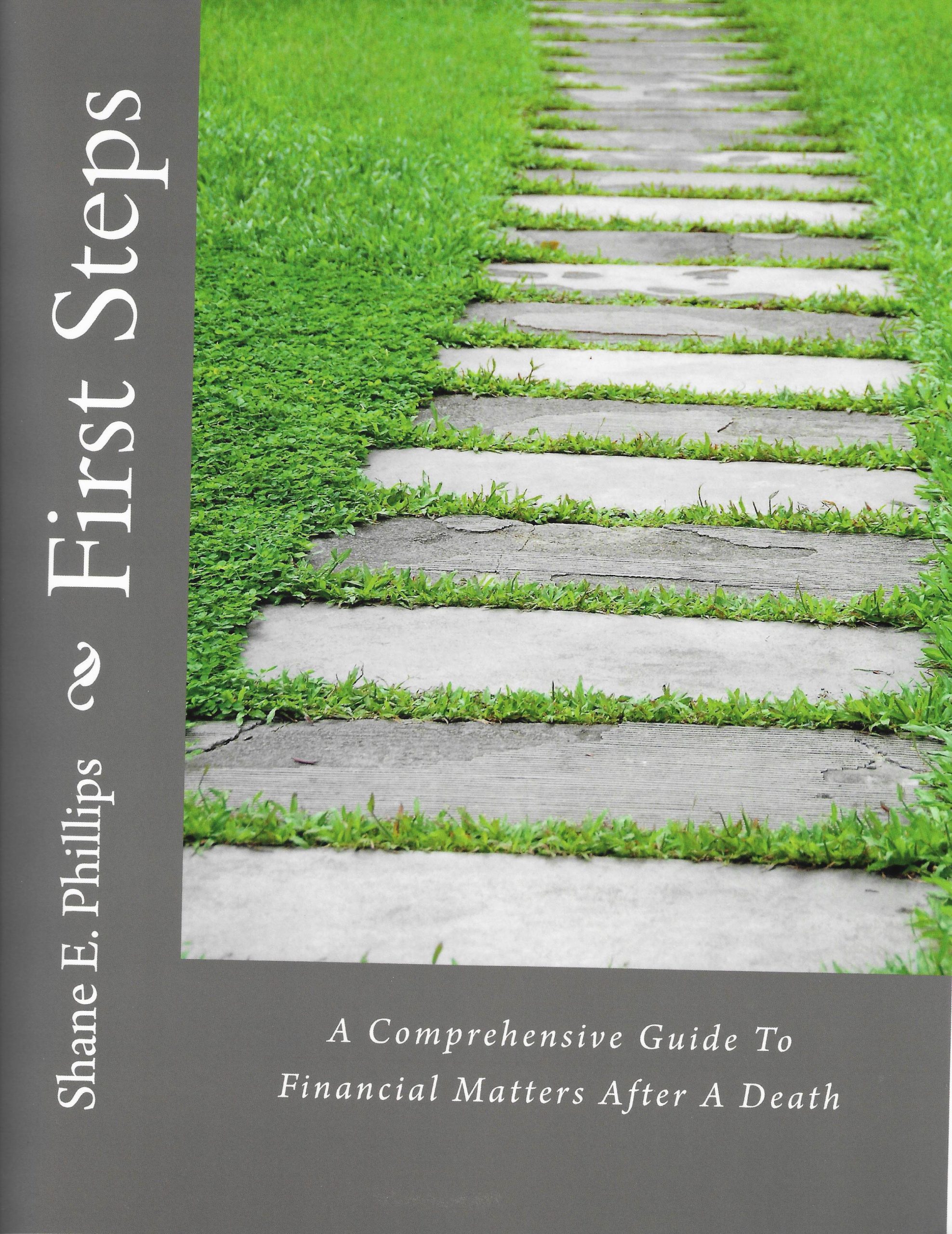 first steps cover Jenn Flaum, LCSW, MBA Executive Director