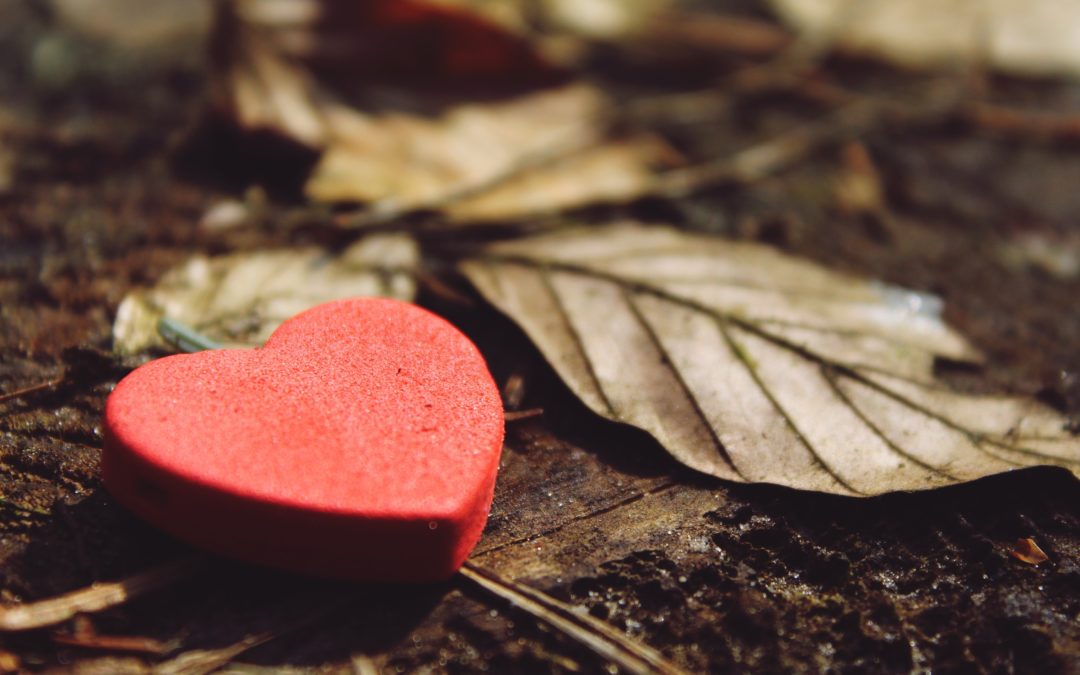 Heart To Heart: From One Griever to Another: In My Sorrow I Found Joy