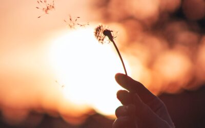 Heart To Heart: From One Griever to Another: Getting Through the First Year
