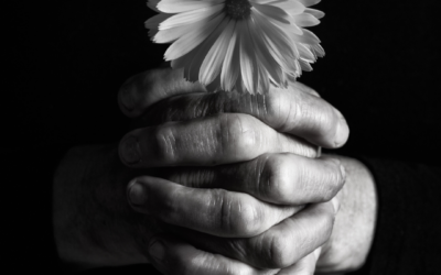 Heart To Heart: From One Griever to Another: Dear Sue