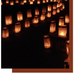 luminaria snip