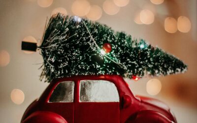 Griever’s Bill of Rights for the Holidays