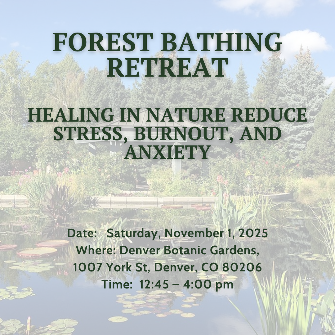 Forest Bathing Retreat Nov 1 2025